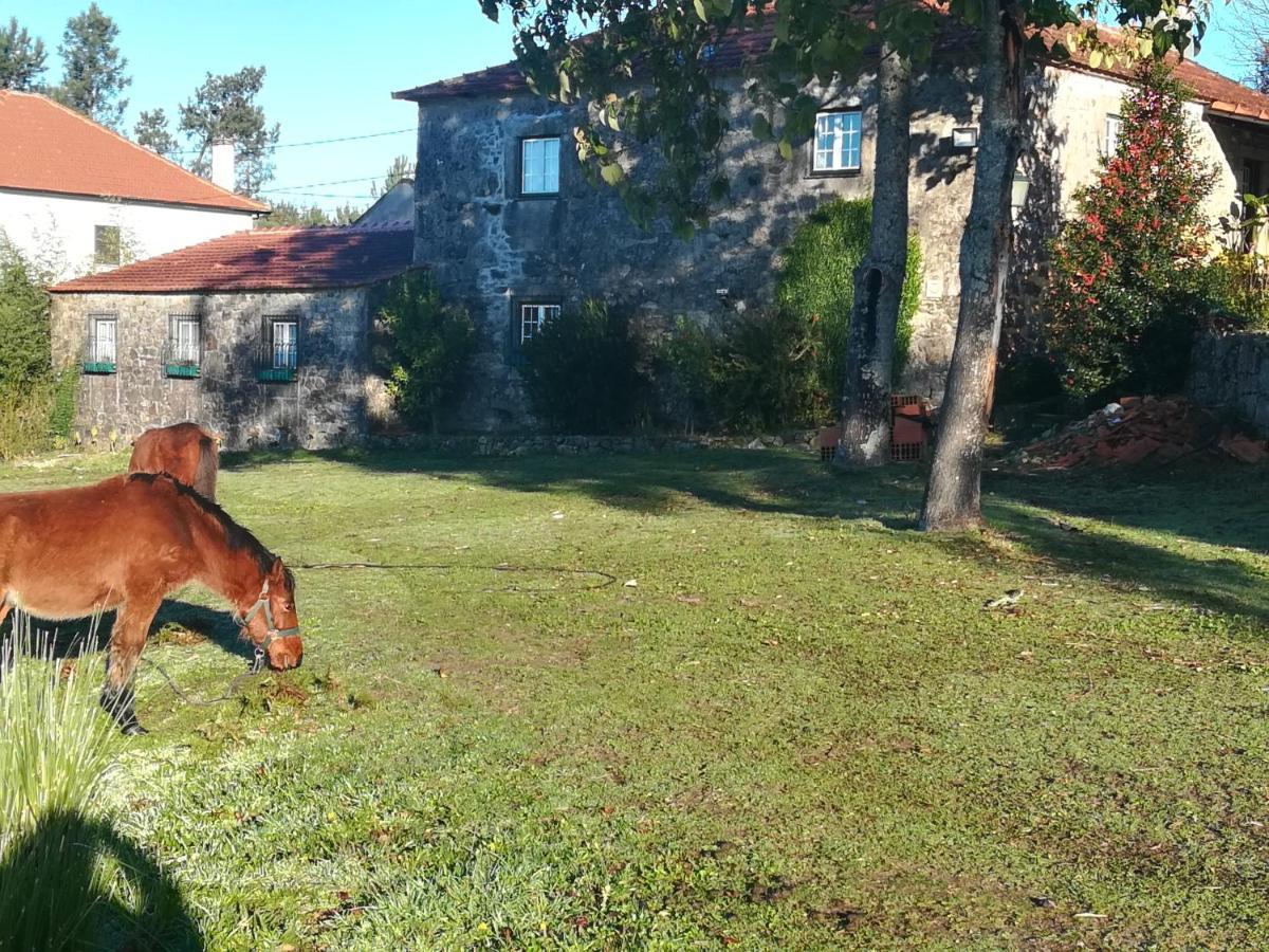 Quinta Do Cambeiro Séjour chez l'habitant *