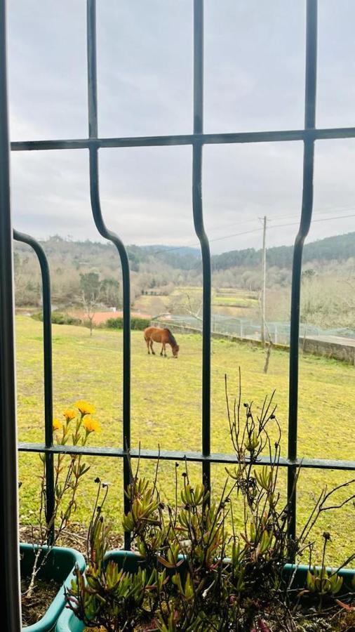 Quinta Do Cambeiro Kwatera prywatna *